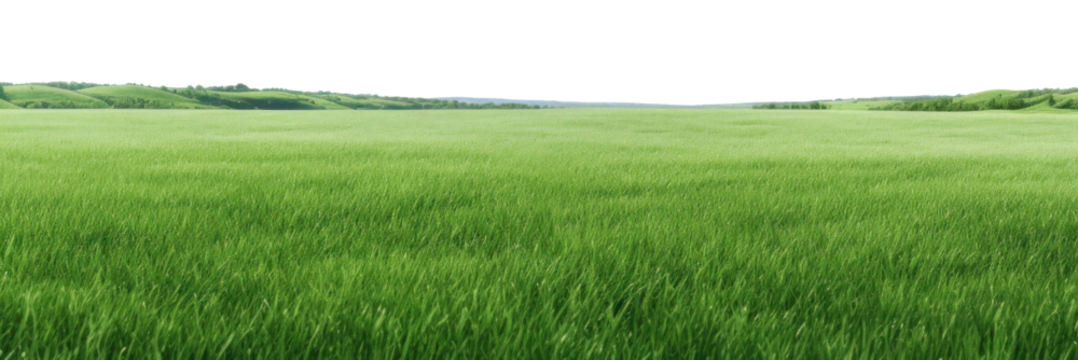 PNG Lush green field backgrounds landscape outdoors.