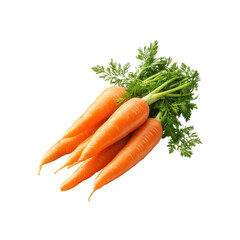 Fresh organic carrots with green tops, ideal for cooking, eating raw or juicing. Ideal for healthy eating, isolated on transparent background, png