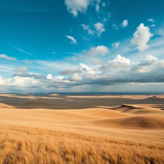 Golden Grassland under Blue Sky