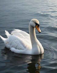 Obraz premium Stunning white swan showcasing bright yellow beak at the edge of the ocean, avian, oceanfront, feather