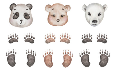 Watercolor illustration. Bear set. Hand painted black and white panda, brown bear, white bear. Cute cartoon animal characters. Heads and paws with claws. Isolated clip art