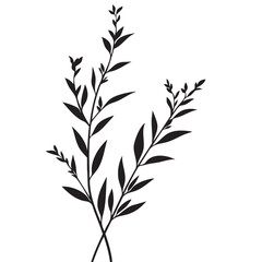 Small leaf plant silhouette pattern wallpaper. Black and white. minimal artwork. simple template. tattoo design. card and package. Vector illustration.