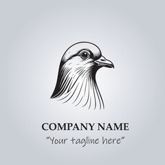 Head of Pigeon logo company design vector illustration
