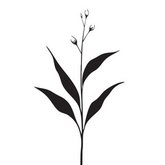 Small leaf plant silhouette pattern wallpaper. Black and white. minimal artwork. simple template. tattoo design. card and package. Vector illustration.