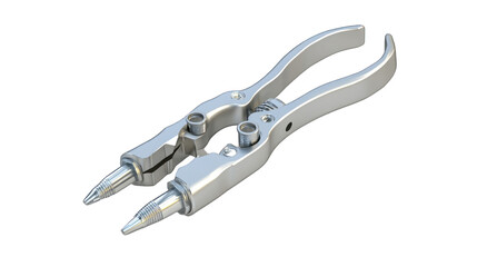 Obraz premium A pair of pliers with two pointed tips