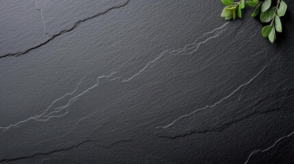 Dark Grey Stone Texture Background with Subtle Veins