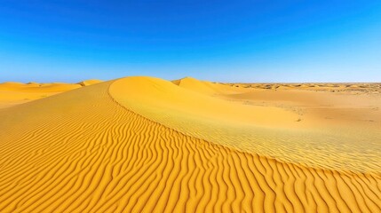 Golden Dunes of the Sahara: A Breathtaking Desert Landscape