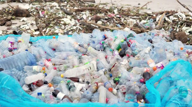 Recycling and cleanup, volunteer gathers waste plastic bottles at beach shore.