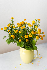 Ranunculus flowers in a vase on the table, spring flowers