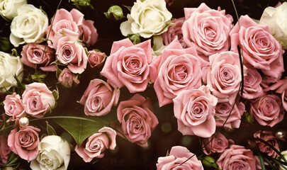 Fototapety na wymiar - Fototapeta24.pl