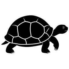 turtle vector illustration