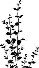 Small leaf plant silhouette pattern wallpaper. Black and white. minimal artwork. simple template. tattoo design. card and package. PNG tranparent.