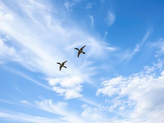 Fototapeta premium Swifts soaring through a patchwork of soft blue and wispy white clouds against a brilliant blue sky, natural scenery, cloud formations, swifts