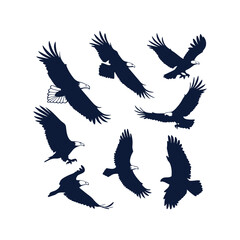 Eagle Silhouette Vector Collection