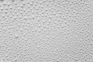 water drops on a white background