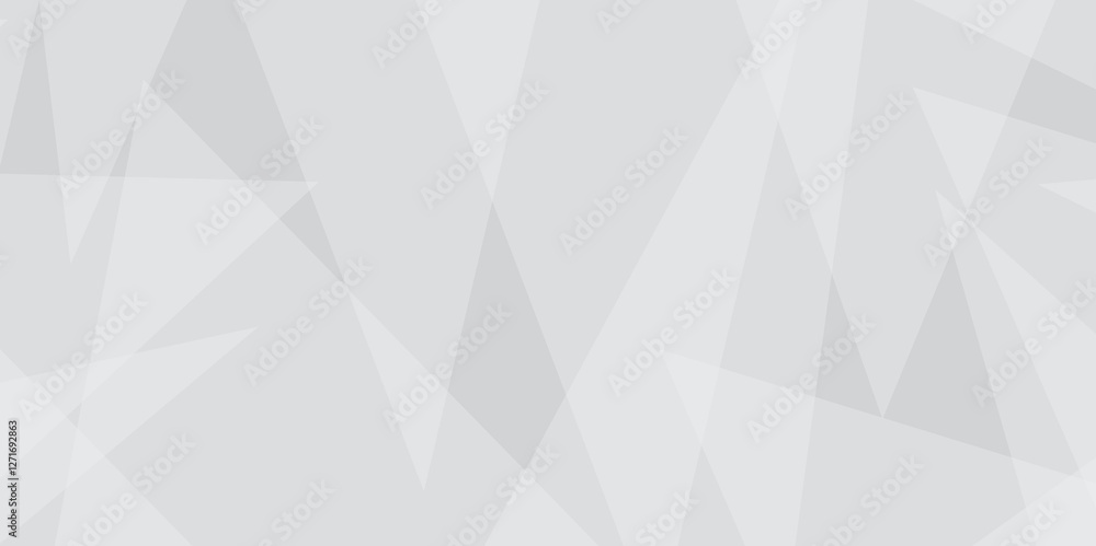Poster abstract white and gray line background design. abstract white and grey on light silver background m