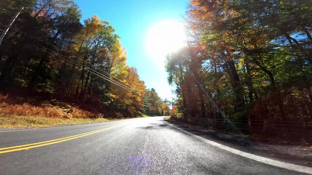 Catskill Driving 0795 Autumn New York