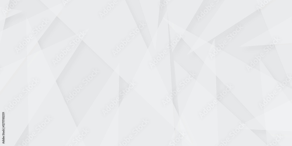 Poster abstract white and gray line background design. abstract white and grey on light silver background m