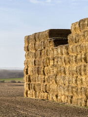Haystacks on a Farm Field