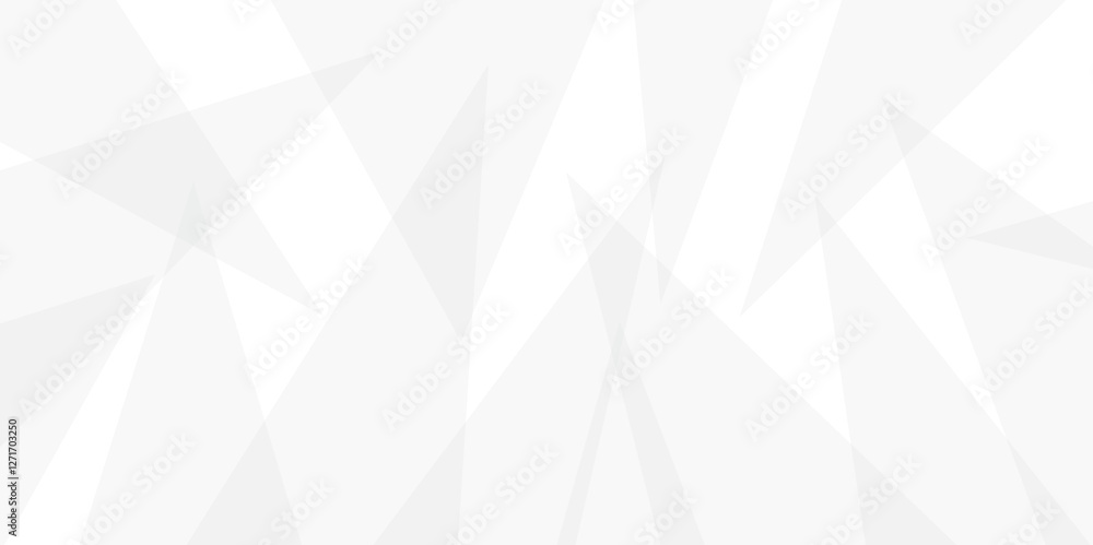 Poster abstract white and gray line background design. abstract white and grey on light silver background m