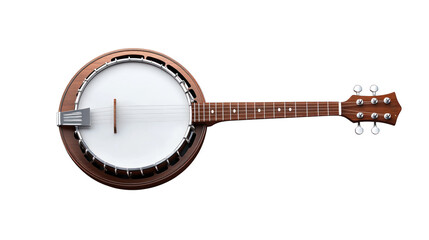 A wooden banjo with a white head