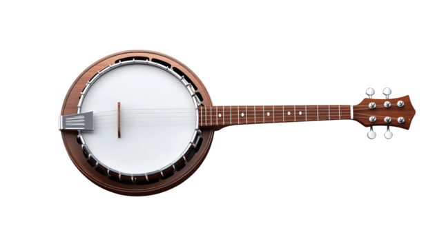 A wooden banjo with a white head