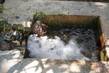 The water is flowing into the concrete basin by forcefully from the water pump