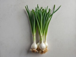 A bunch of fresh green onions is placed on a pure white background.