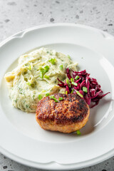  A beautifully plated dish featuring a golden-brown meat patty accompanied by creamy mashed potatoes and vibrant purple coleslaw, garnished with green onions.