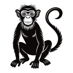 monkey vector illustration