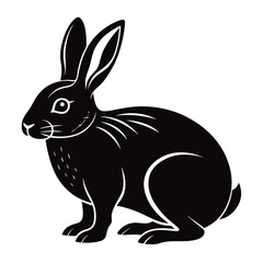 vector illustration of a rabbit