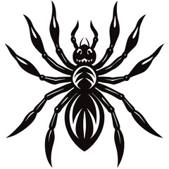 wolf spider vector illustration