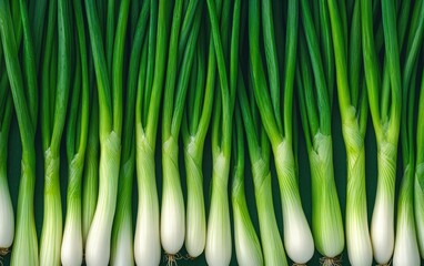 A wooden bowl of green onion cut into small pieces. fresh spring green scallion for cooking and healthy food