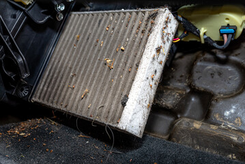 Removing a dirty cabin filter from a cars dashboard, difficult access.