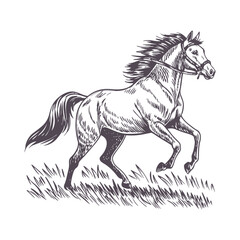 Running Horse Line Art - Minimalist Design with Motion-Suggesting Flowing Mane