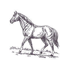 Running Horse Line Art - Minimalist Design with Motion-Suggesting Flowing Mane