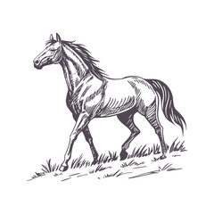 Graceful Running Horse in Minimalist Line Art, Featuring Flowing Mane for a Sense of Motion