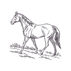 Graceful Running Horse in Minimalist Line Art, Featuring Flowing Mane for a Sense of Motion