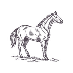 Minimalist Running Horse Illustration with Flowing Mane, Emphasizing Movement and Grace