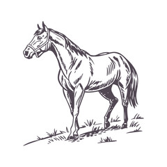 Elegant Minimalist Line Drawing of a Galloping Horse with Dynamic Flowing Mane
