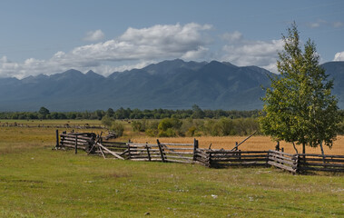 Russia. The Republic of Buryatia. View of fields in the valley of the Irkut river enclosed by wooden fences of a special zigzag structure made of logs.
