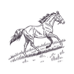 Elegant Minimalist Line Drawing of a Galloping Horse with Dynamic Flowing Mane