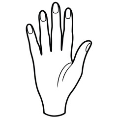 Obraz premium black line art illustration of a gracefully posed human hand, isolated on a solid white background 