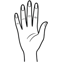 Obraz premium black line art illustration of a gracefully posed human hand, isolated on a solid white background 