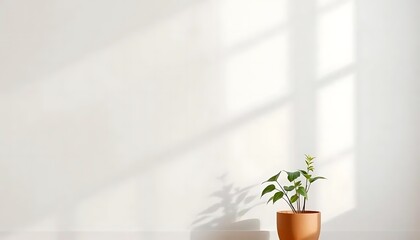 Grey limestone texture background in white light polished empty wall paper. luxury gray concrete stone table top desk tabl top view textur grunge seamless marble, cement floor surface bacground smooth