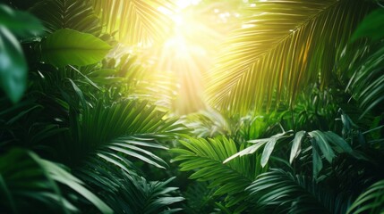 Obraz premium A vibrant, sunlit jungle scene filled with lush green foliage, showcasing a serene atmosphere and the beauty of nature.