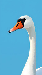 Fototapeta premium Head of a funny swan bird on blue background, web banner, low-poly. White tone