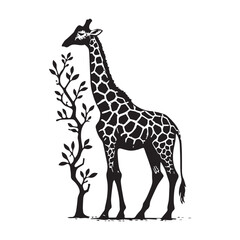 giraffe vector illustration