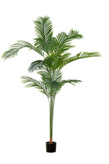 isolated tropical Artificial Areca Palm Plant