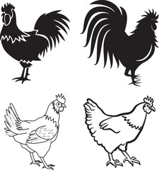 Chicken clipart vector and any kind of design using. 